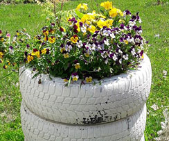 dom za odrasle osobe